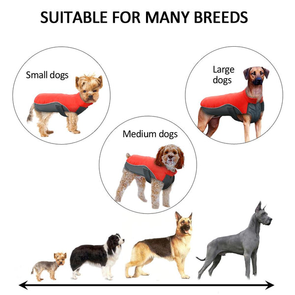 Waterproof Dog Jacket