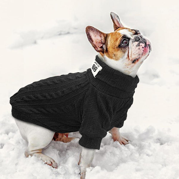 Classic Sweaters Dogs