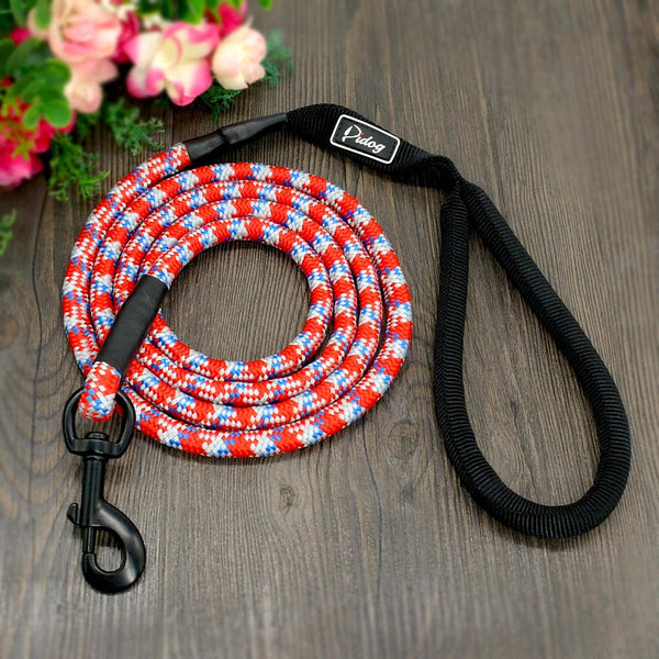 Cute Leash Dog