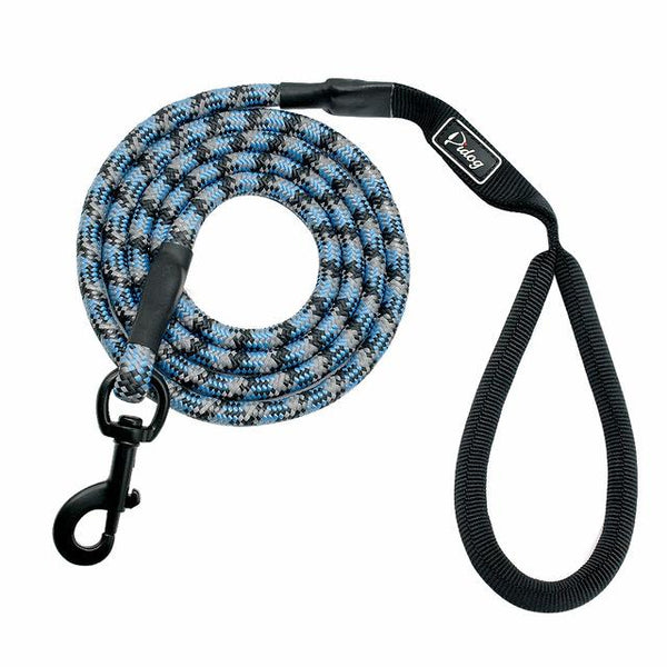 Cute Leash Dog