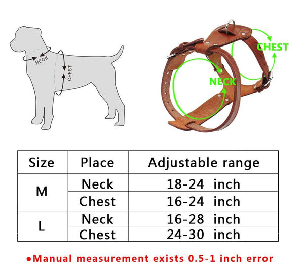 Collar Dog Harness