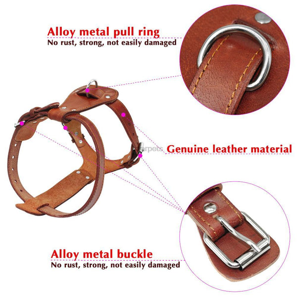 Collar Dog Harness