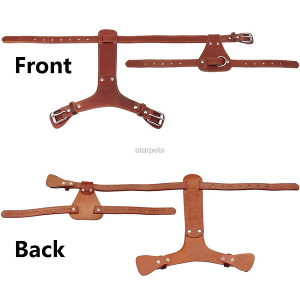 Collar Dog Harness