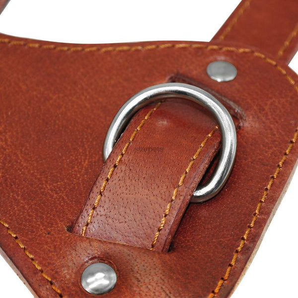 Collar Dog Harness